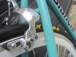 Bianchi PISTA FLATBAR リアブレーキ