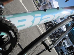 Bianchi Sempre ダウンチューブ