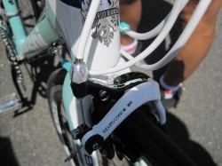 Bianchi Sempre ヘッドチューブ