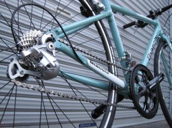 Bianchi VIALE リア廻り