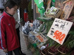 筍専門店　発見！他にも山の幸が沢山