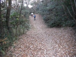 鴨池　遊歩道