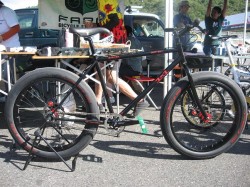 ＳＵＲＬＹ　１×１を発見