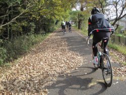 自転車道神出山田 038