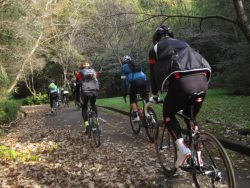 自転車道神出山田 065