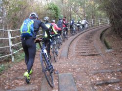 自転車道神出山田 069