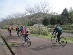 自転車道神出山田 050