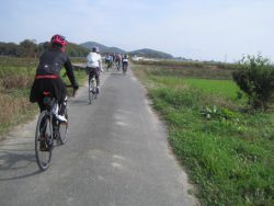 自転車道神出山田 022