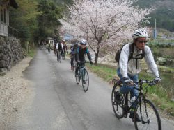 名水Climbツーリング越知ヶ峰 046