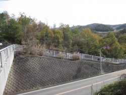 自転車道神出山田 078