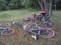 試走後の自転車